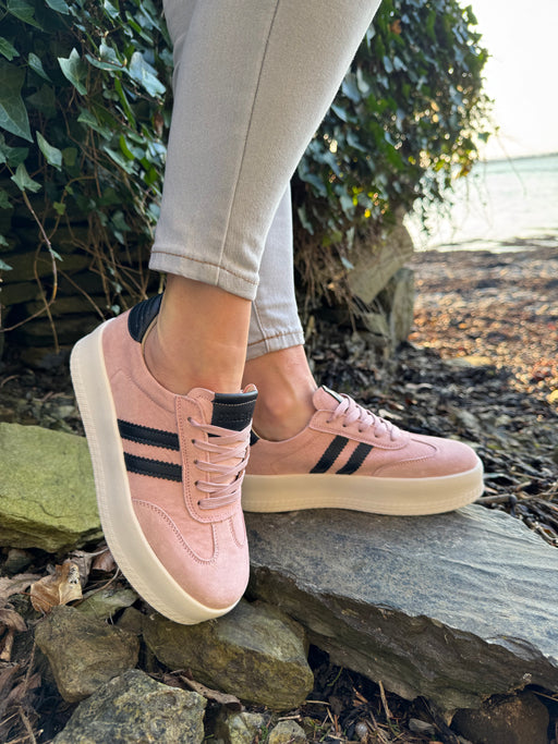 Seventy eight blush