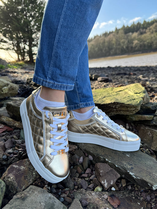 Guess gold quilted sneaker flpgraeke12