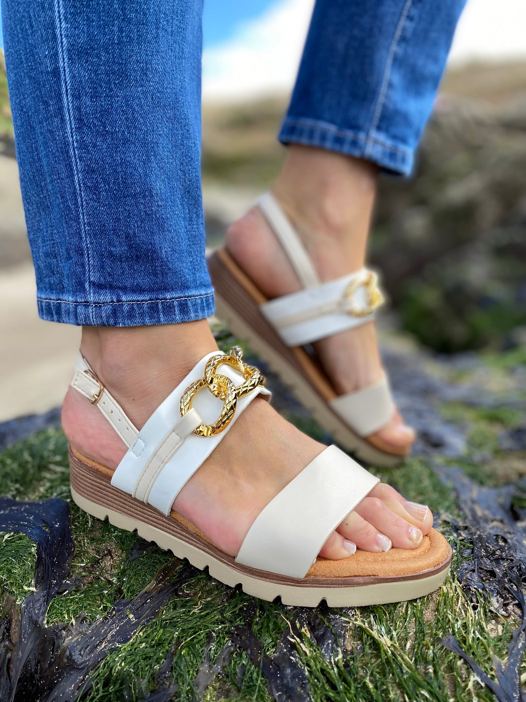 Jasra one oatmeal slider