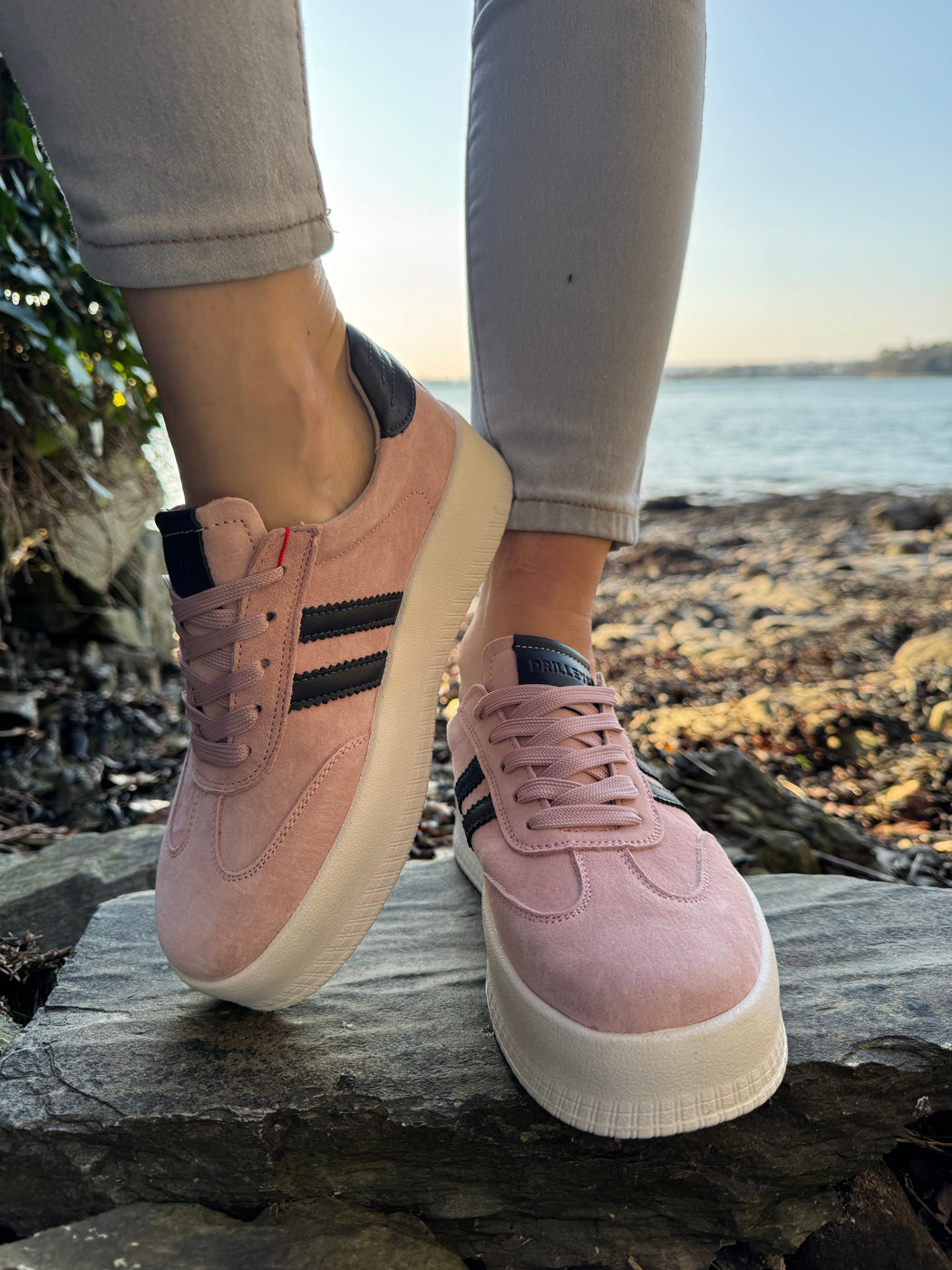 Seventy eight blush