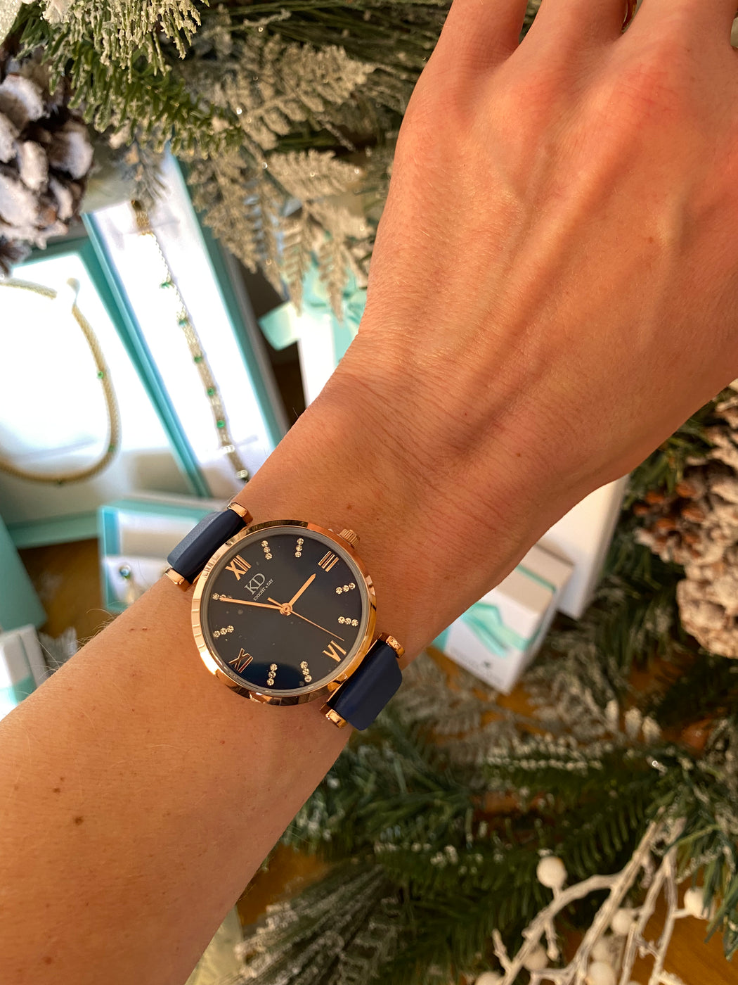 R613WLA NALA SAPPHIRE WATCH hi