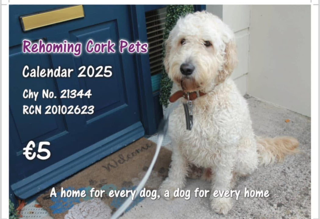 REHOMING CORK PETS 2025 CALENDAR