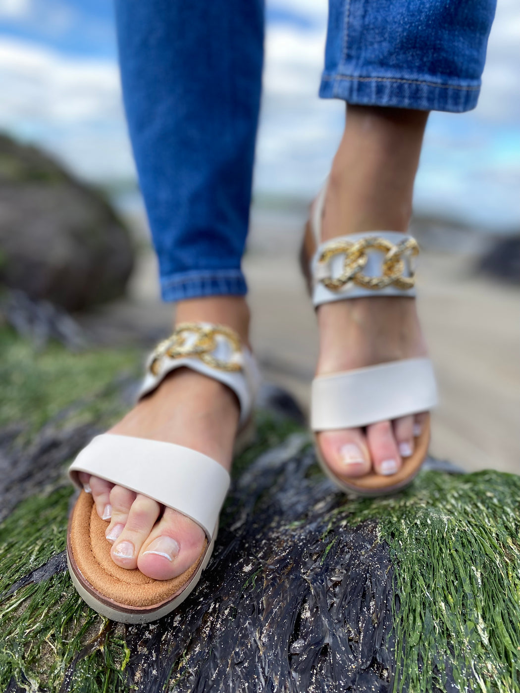 Jasra one oatmeal slider