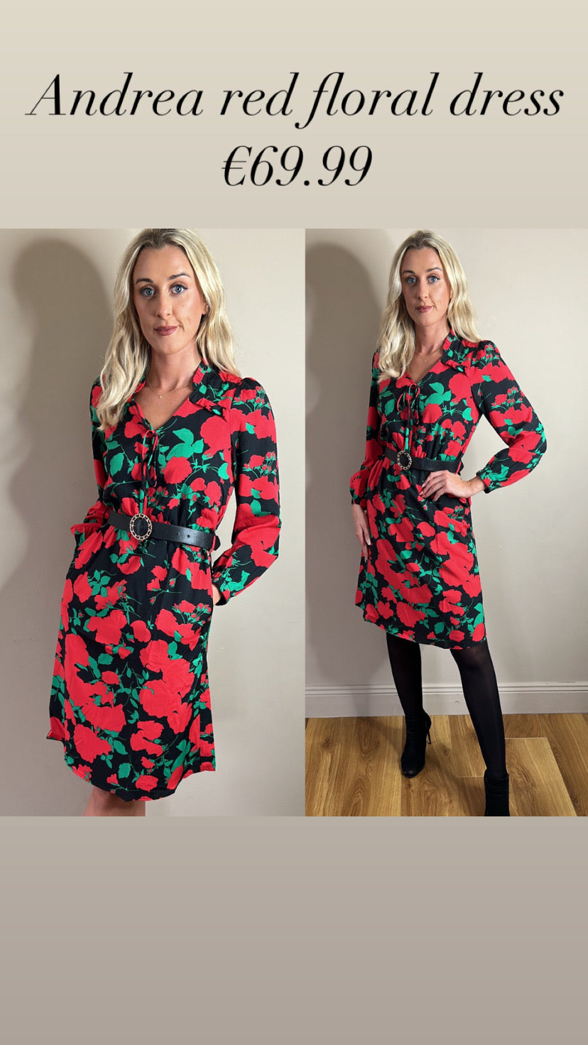 Andrea red floral dress