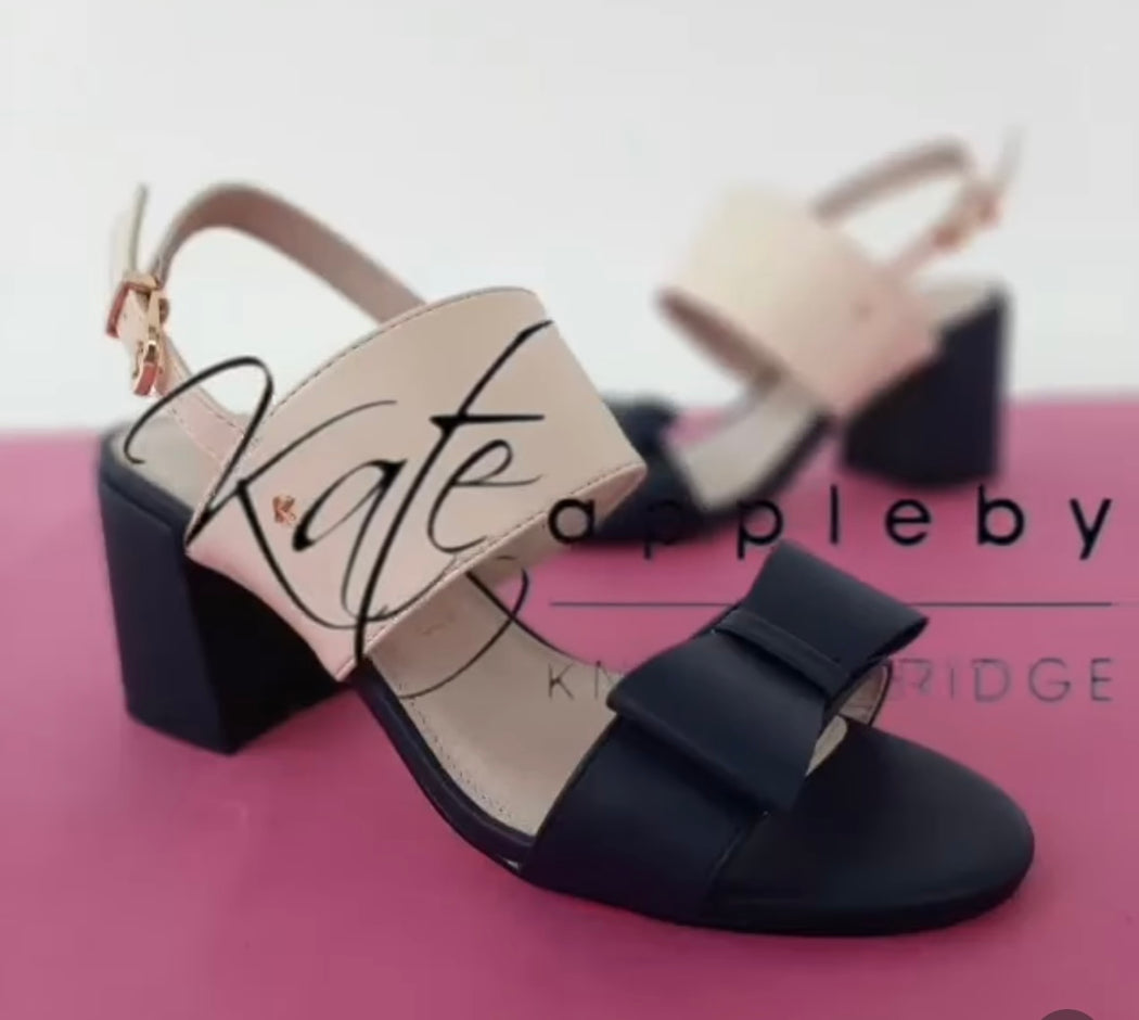 Brecon Lake shore navy nude  heels