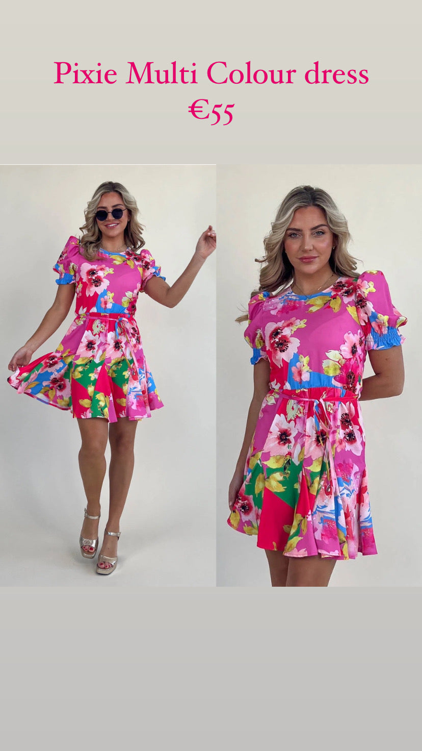 Pixie Multi Colour Floral Skater Mini Dress
