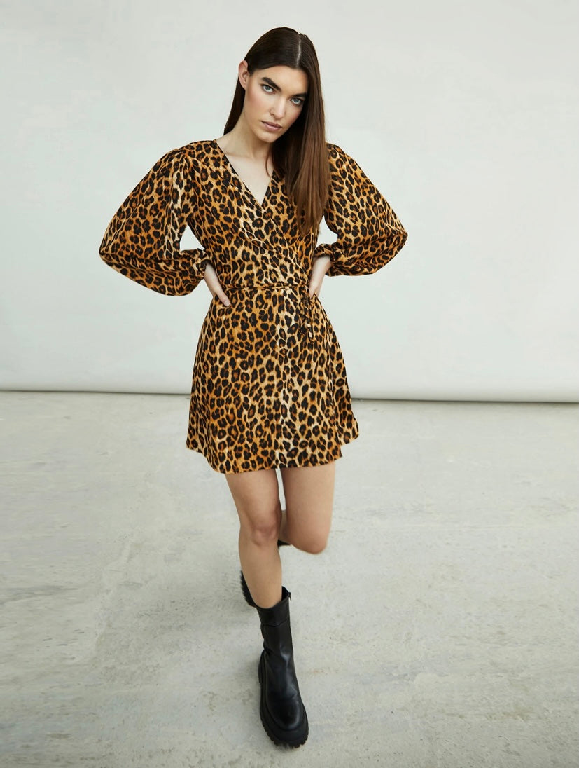 Ck5508 glam Leopard Print Long Sleeve V- Neck Wrap Mini Dress