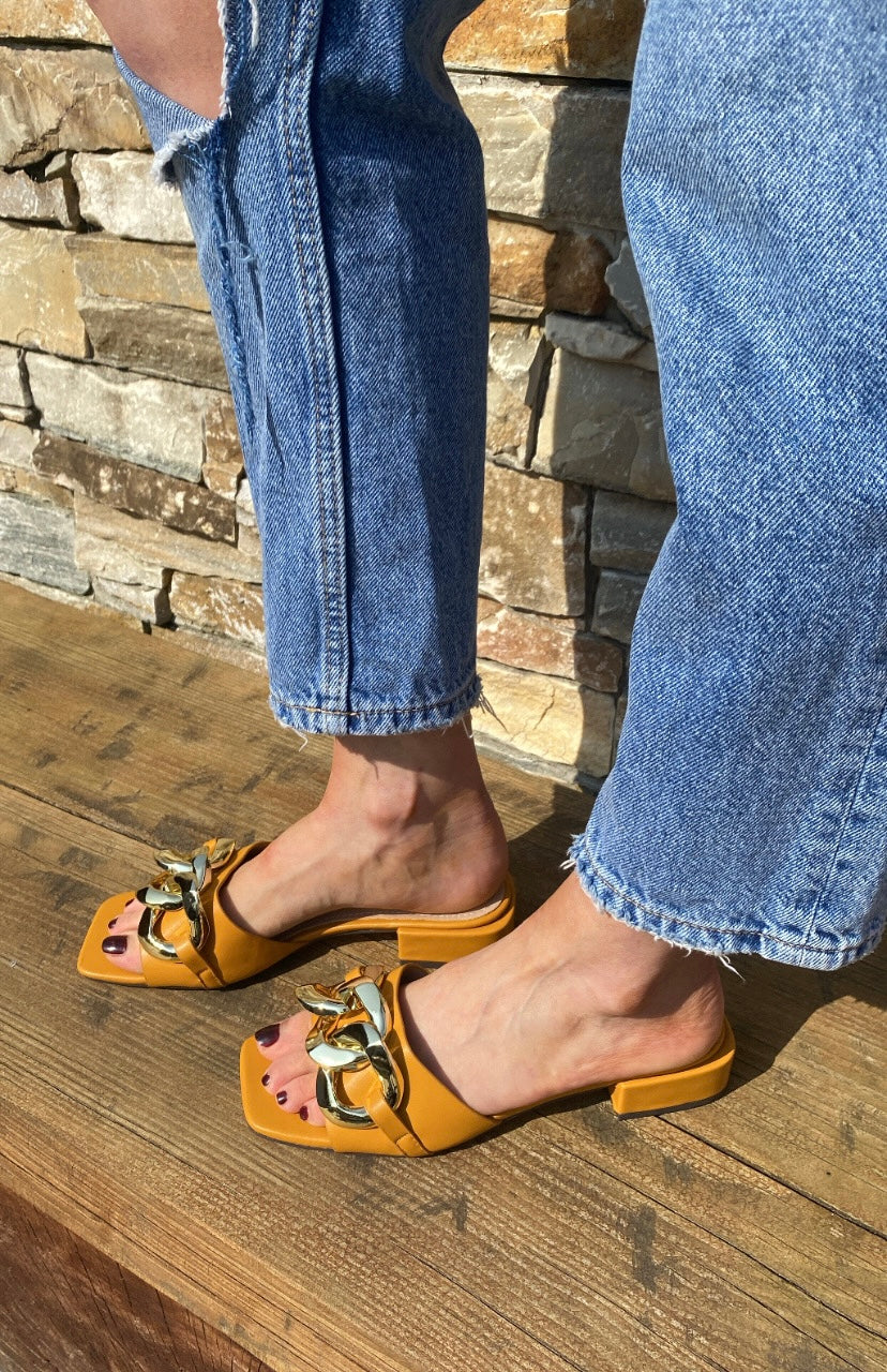 Dandelion Mendip Flats