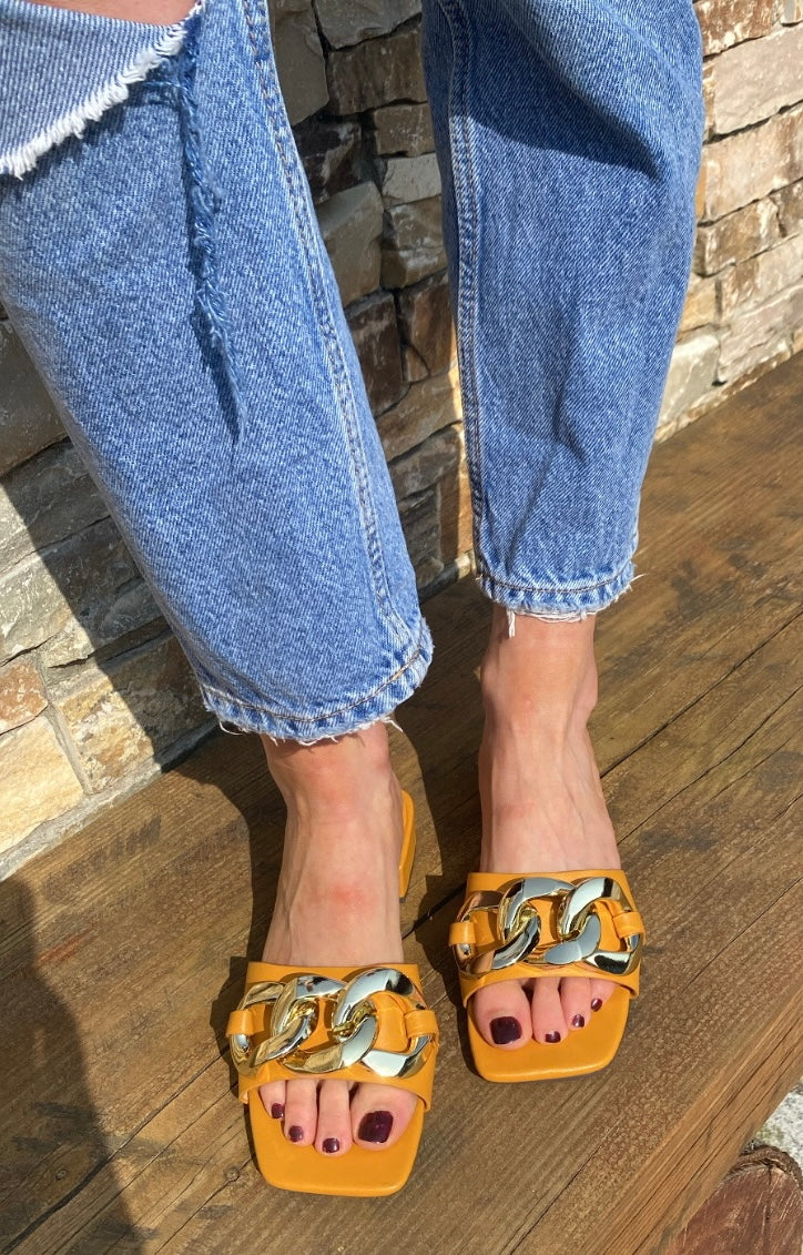 Dandelion Mendip Flats