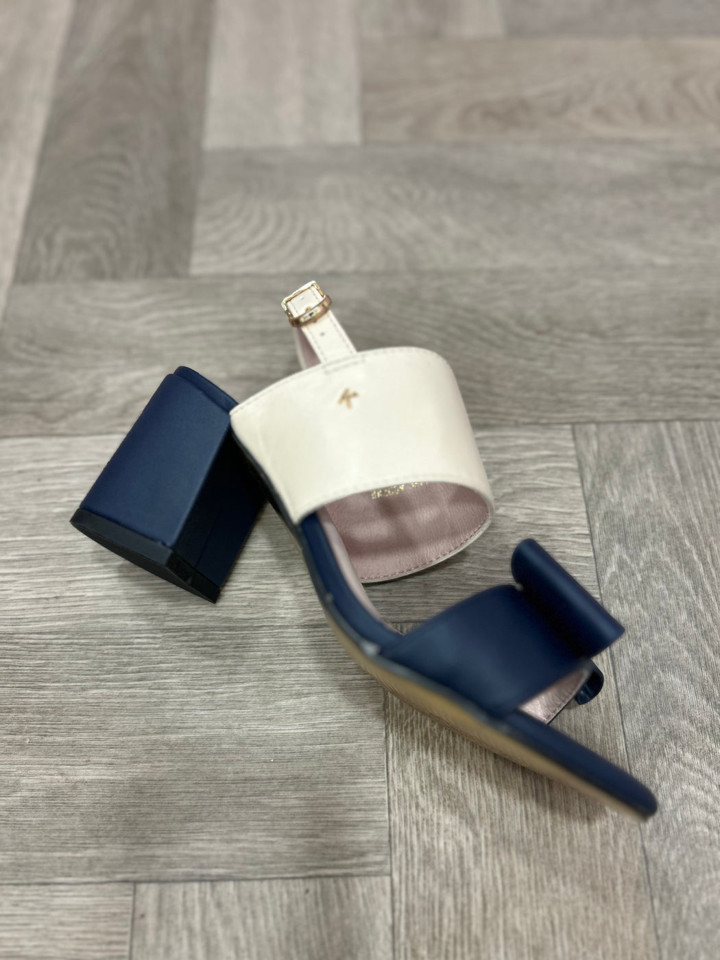 Brecon Lake shore navy nude  heels