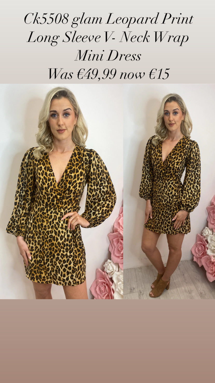 Ck5508 glam Leopard Print Long Sleeve V- Neck Wrap Mini Dress