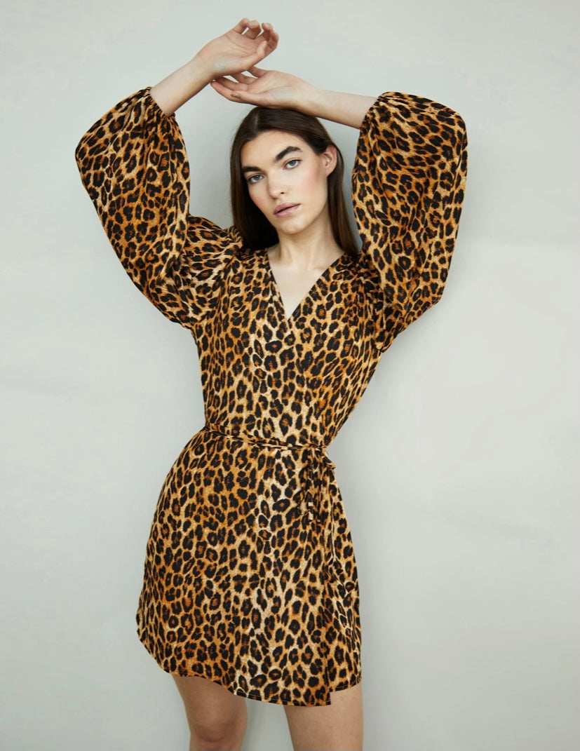 Ck5508 glam Leopard Print Long Sleeve V- Neck Wrap Mini Dress