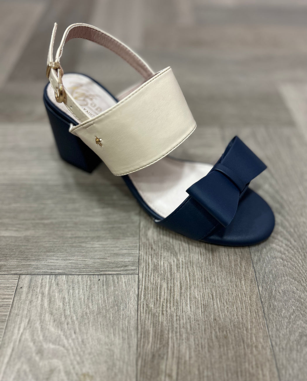Brecon Lake shore navy nude  heels