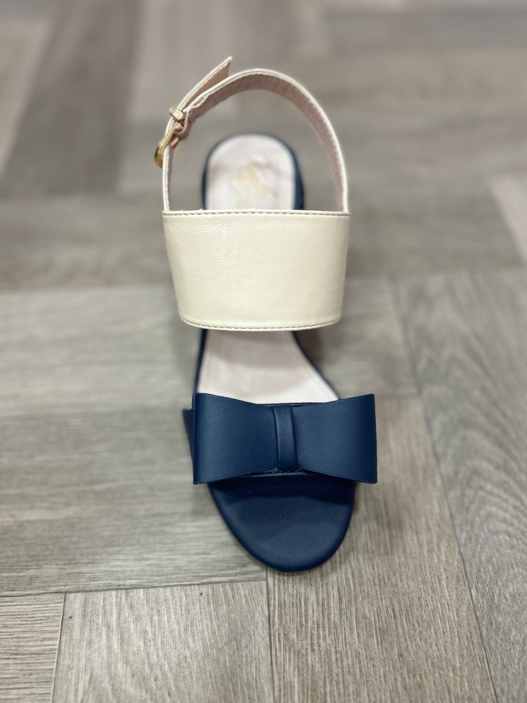 Brecon Lake shore navy nude  heels