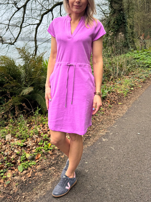 Ivy day Dress Purple