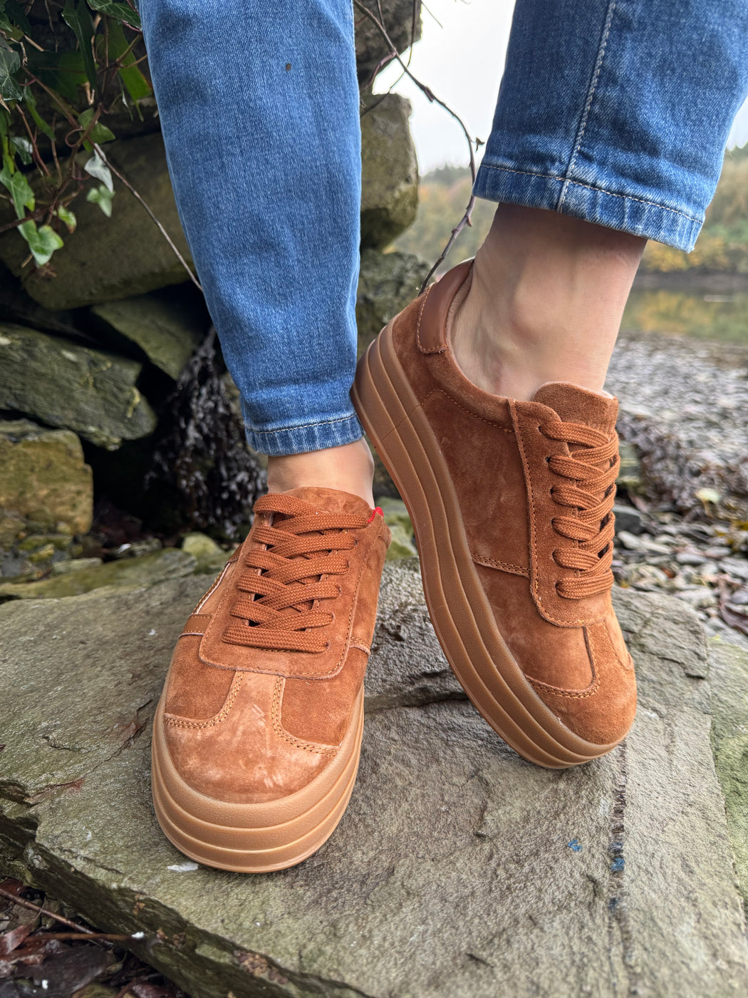 Sixty eight rustic trainer