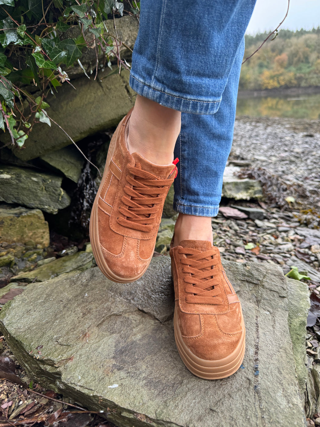 Sixty eight rustic trainer