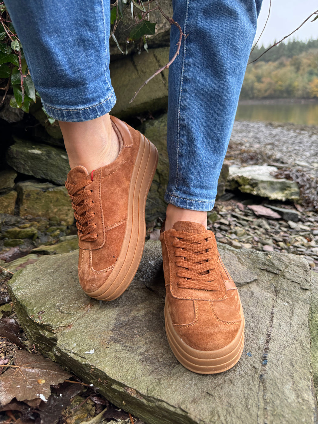 Sixty eight rustic trainer