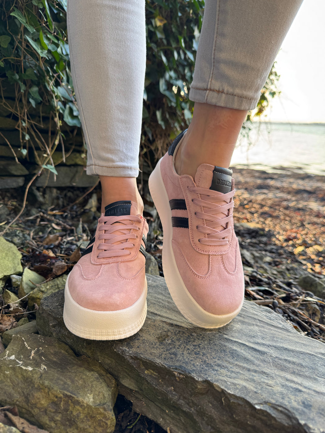 Seventy eight blush
