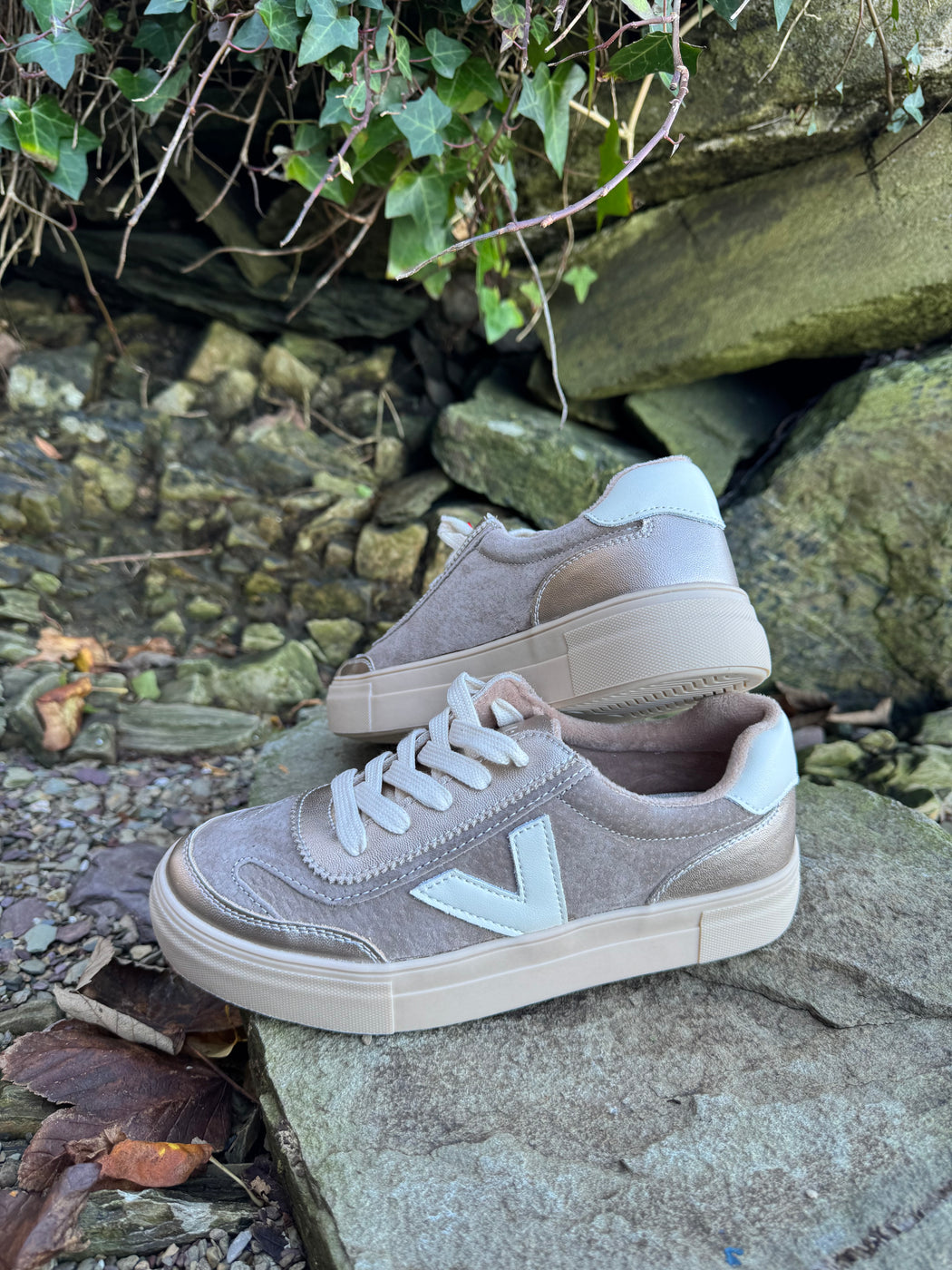 Eighty peregrine trainer