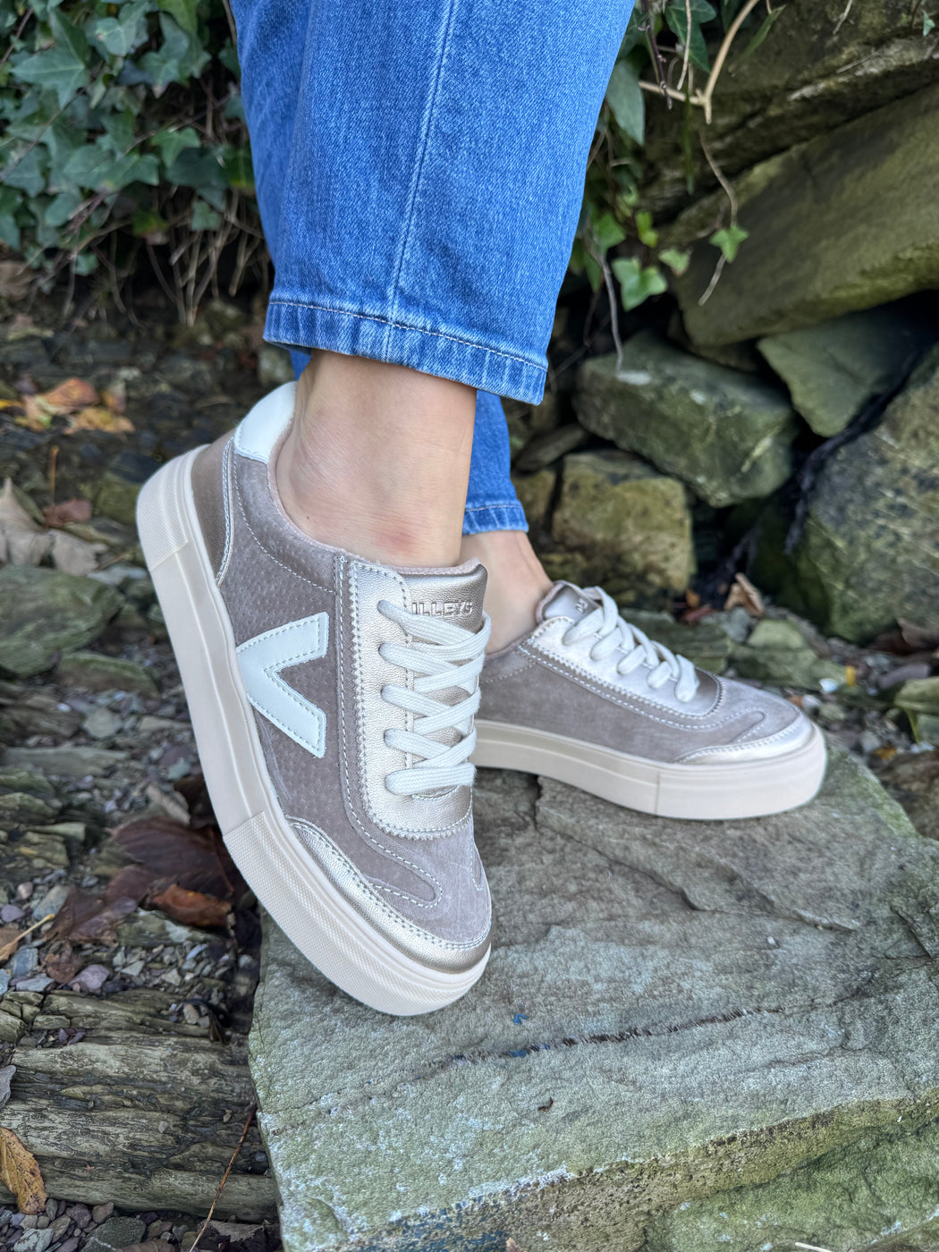 Eighty peregrine trainer