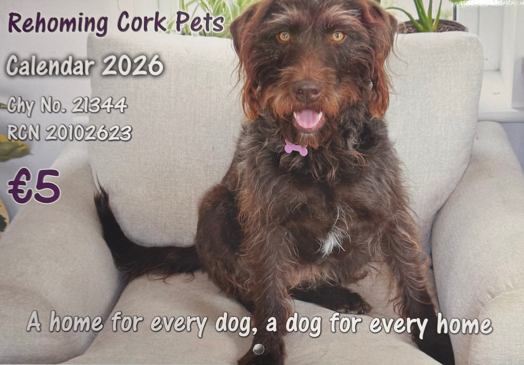 REHOMING CORK PETS 2026 CALENDAR