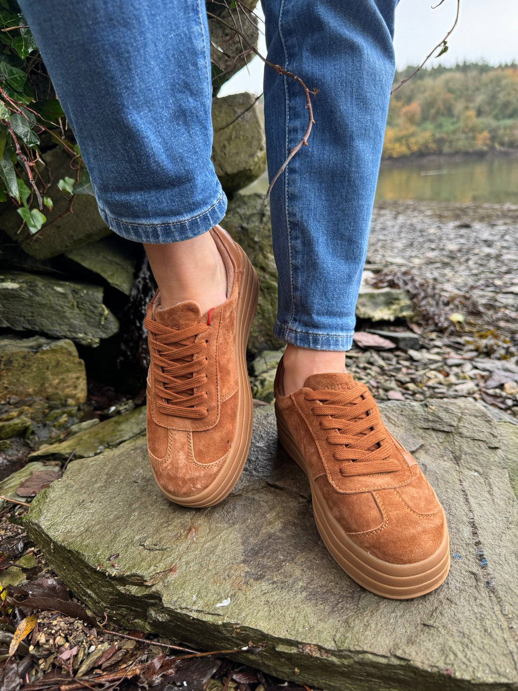 Sixty eight rustic trainer