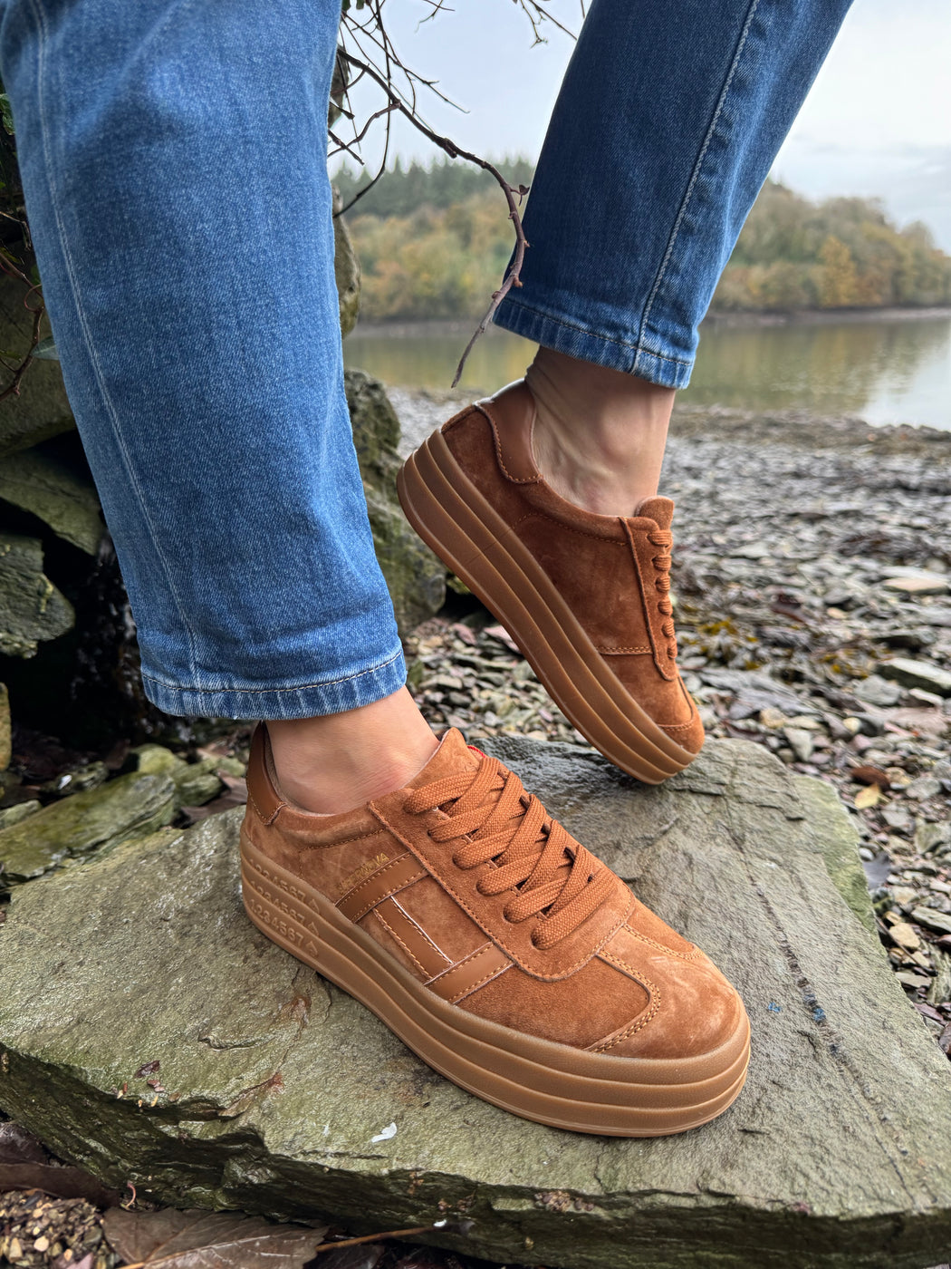 Sixty eight rustic trainer