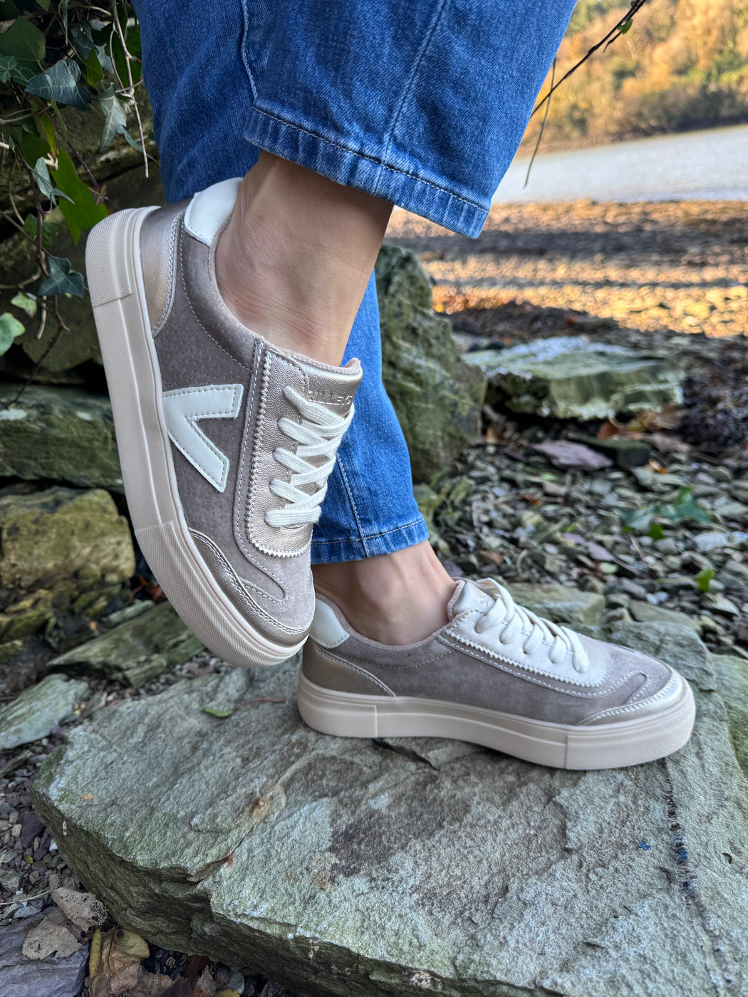 Eighty peregrine trainer