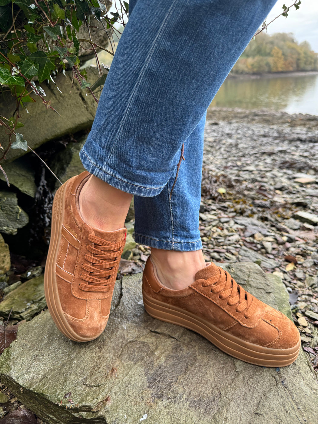 Sixty eight rustic trainer