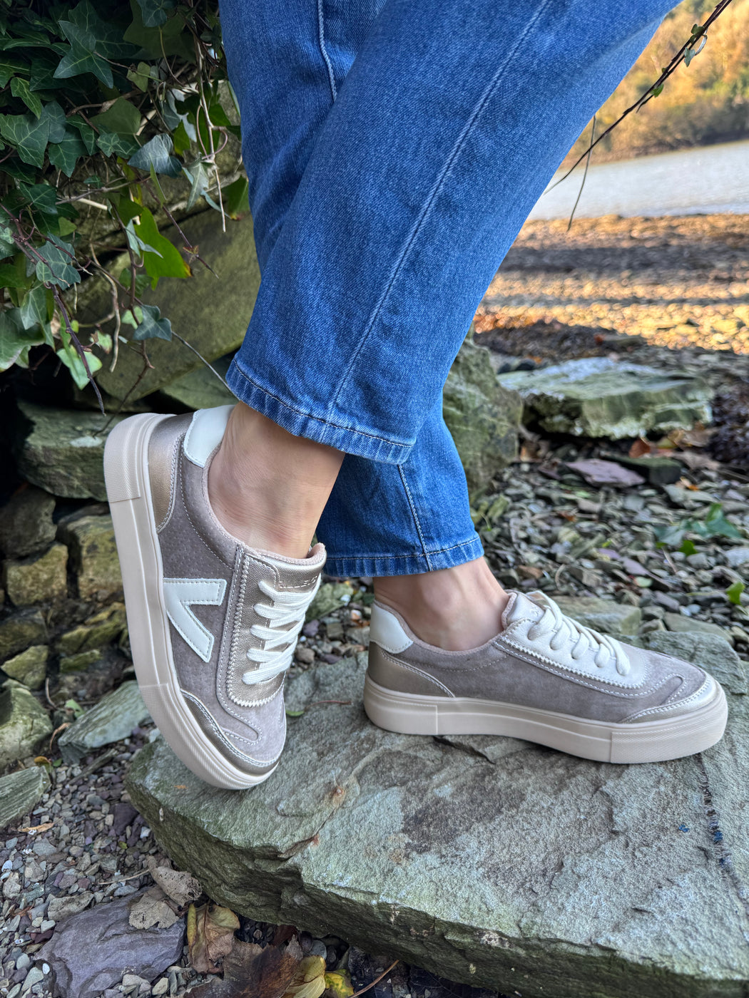 Eighty peregrine trainer