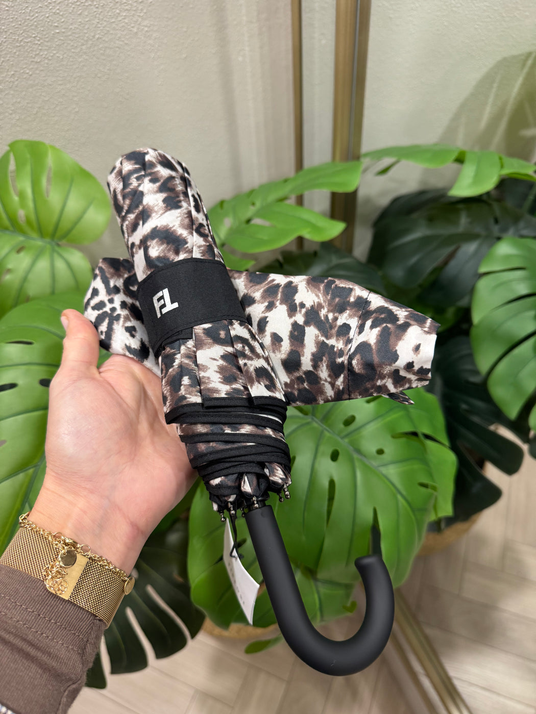 Holly umbrella