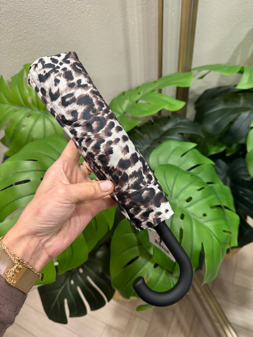 Holly umbrella