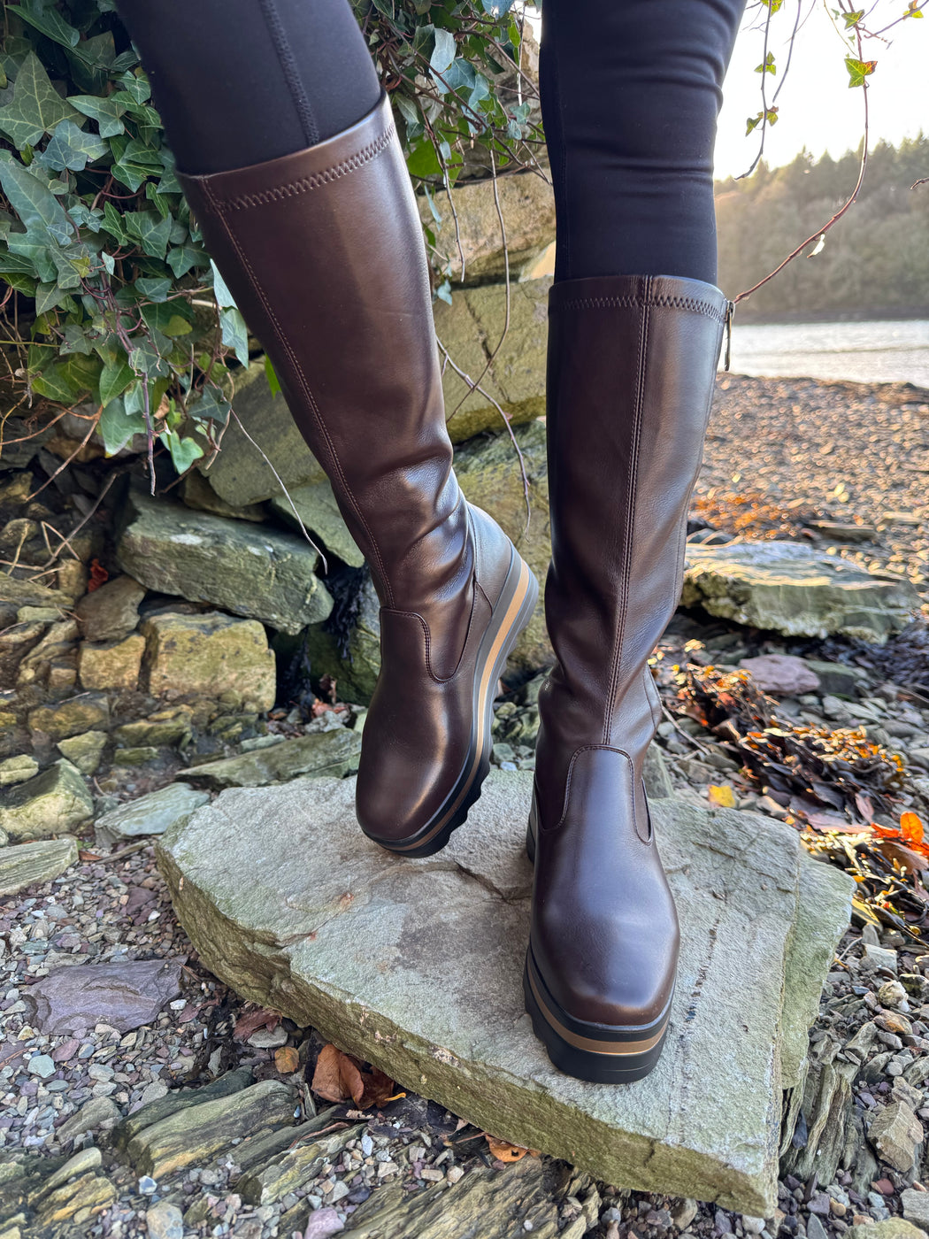 Bildale Chocolate Wedge Boots