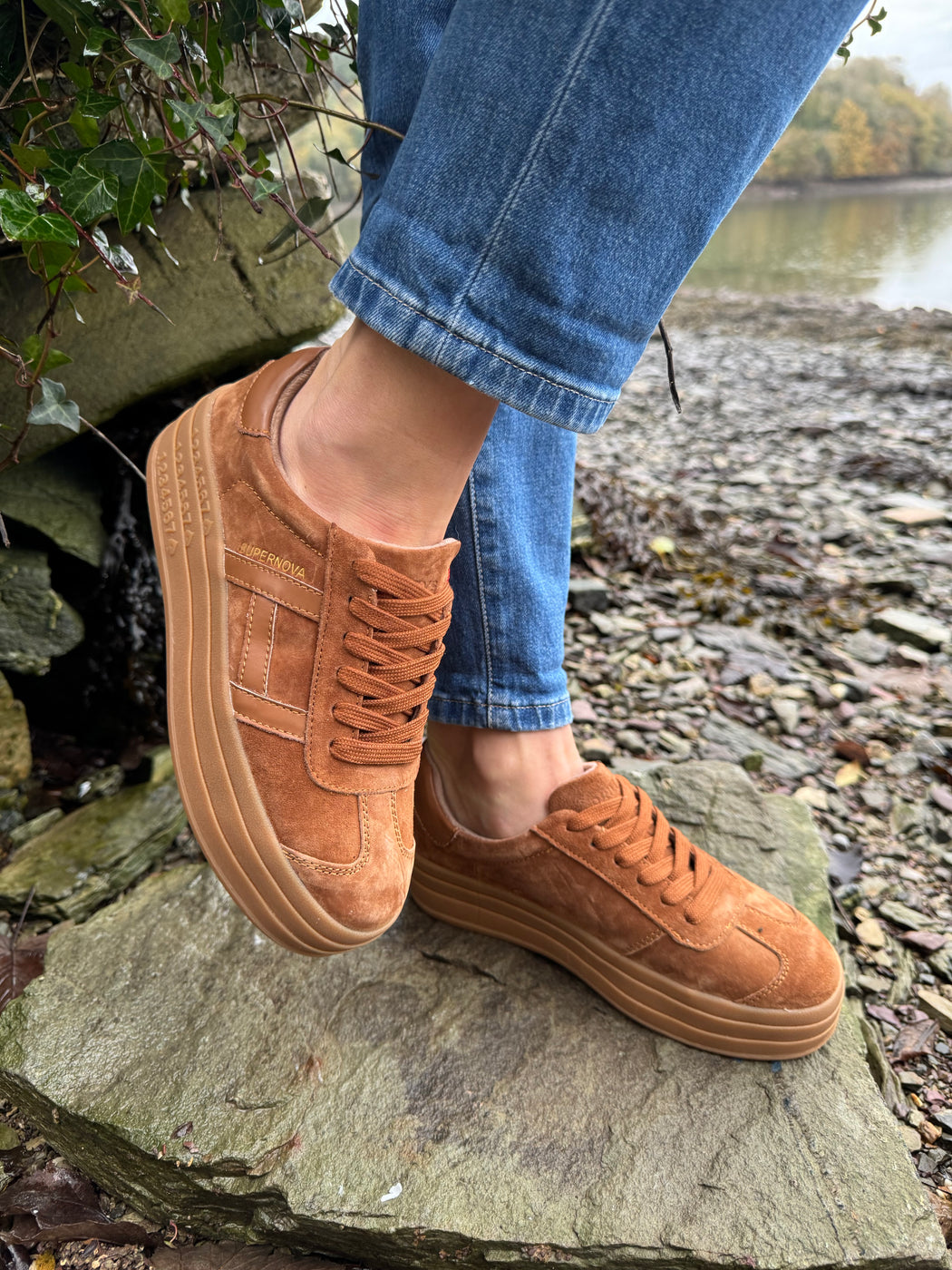 Sixty eight rustic trainer