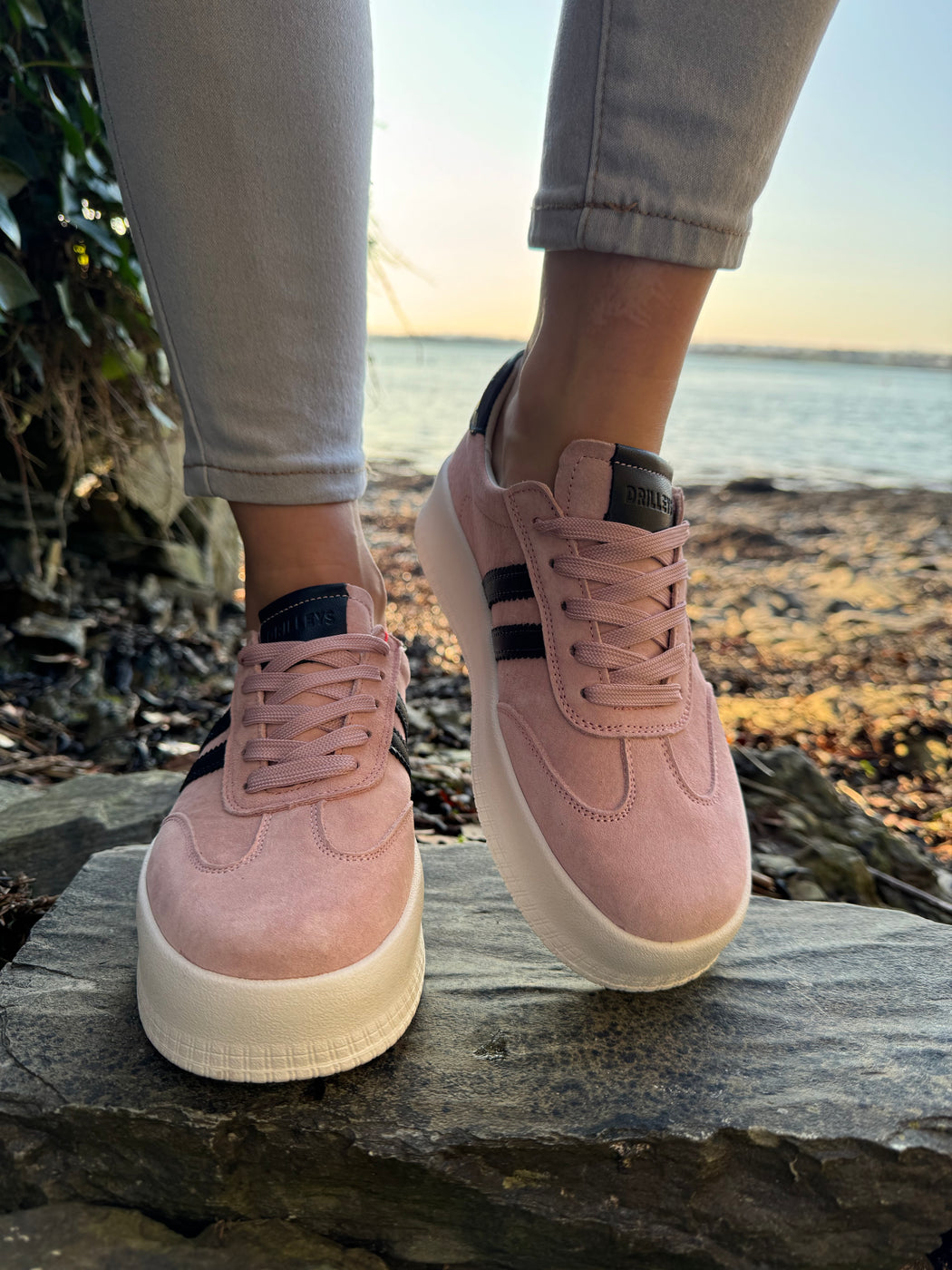 Seventy eight blush