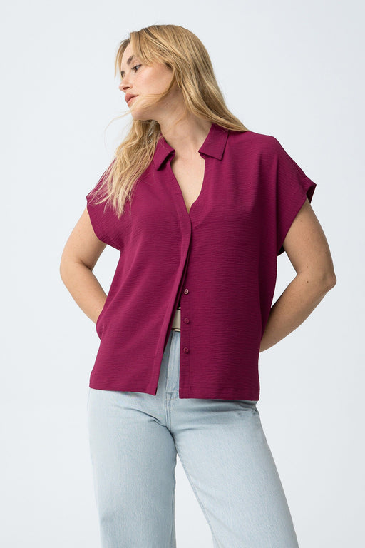 Berto raspberry top