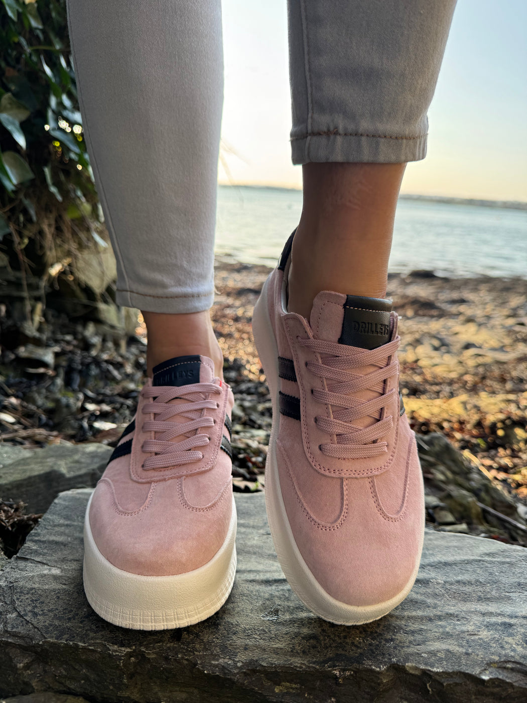 Seventy eight blush