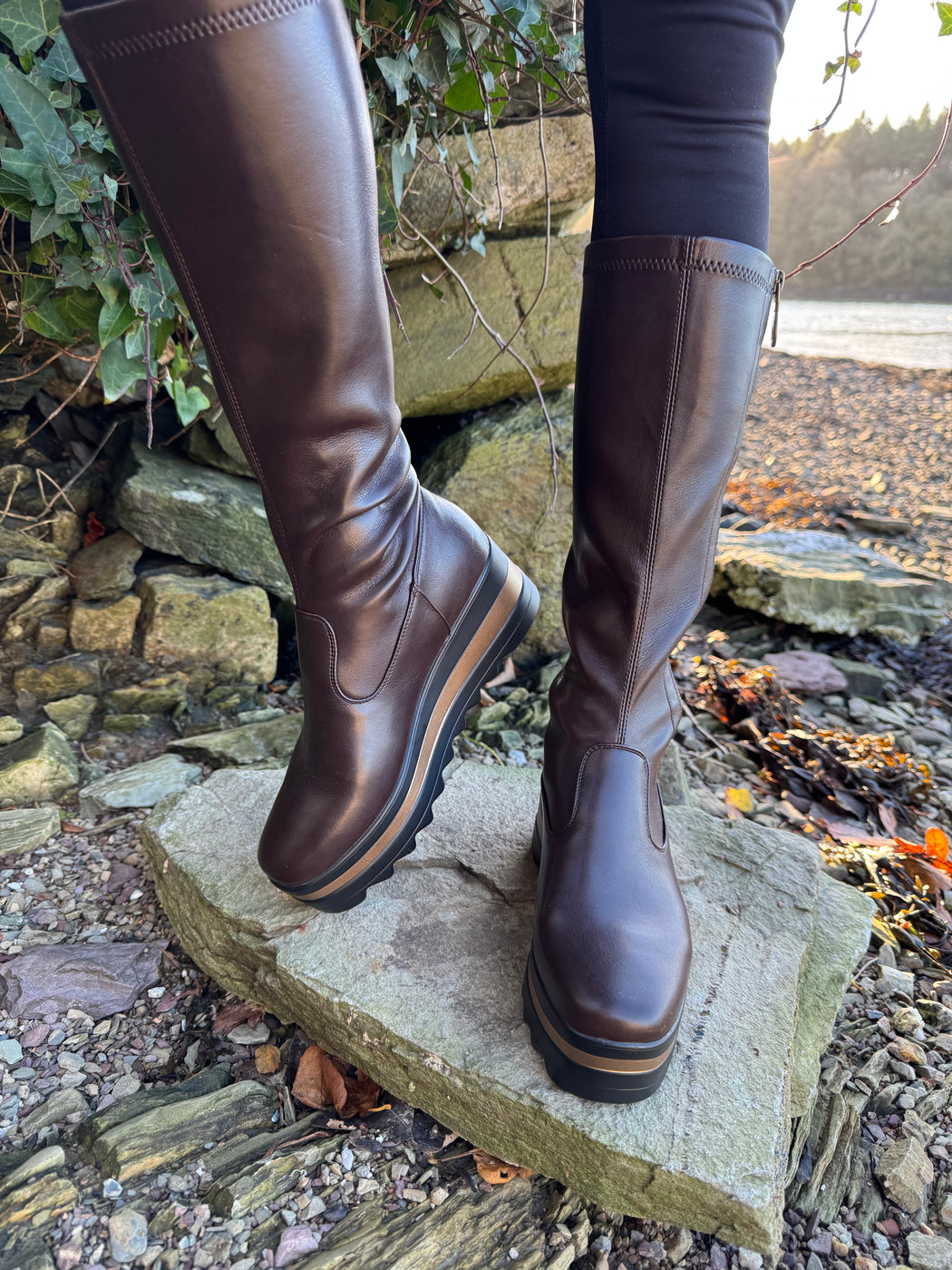 Bildale Chocolate Wedge Boots