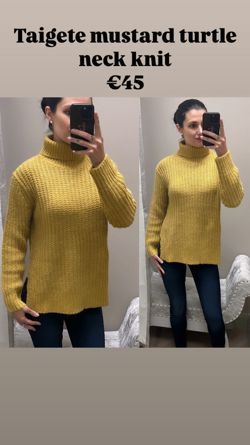 Taigete mustard turtle neck knit