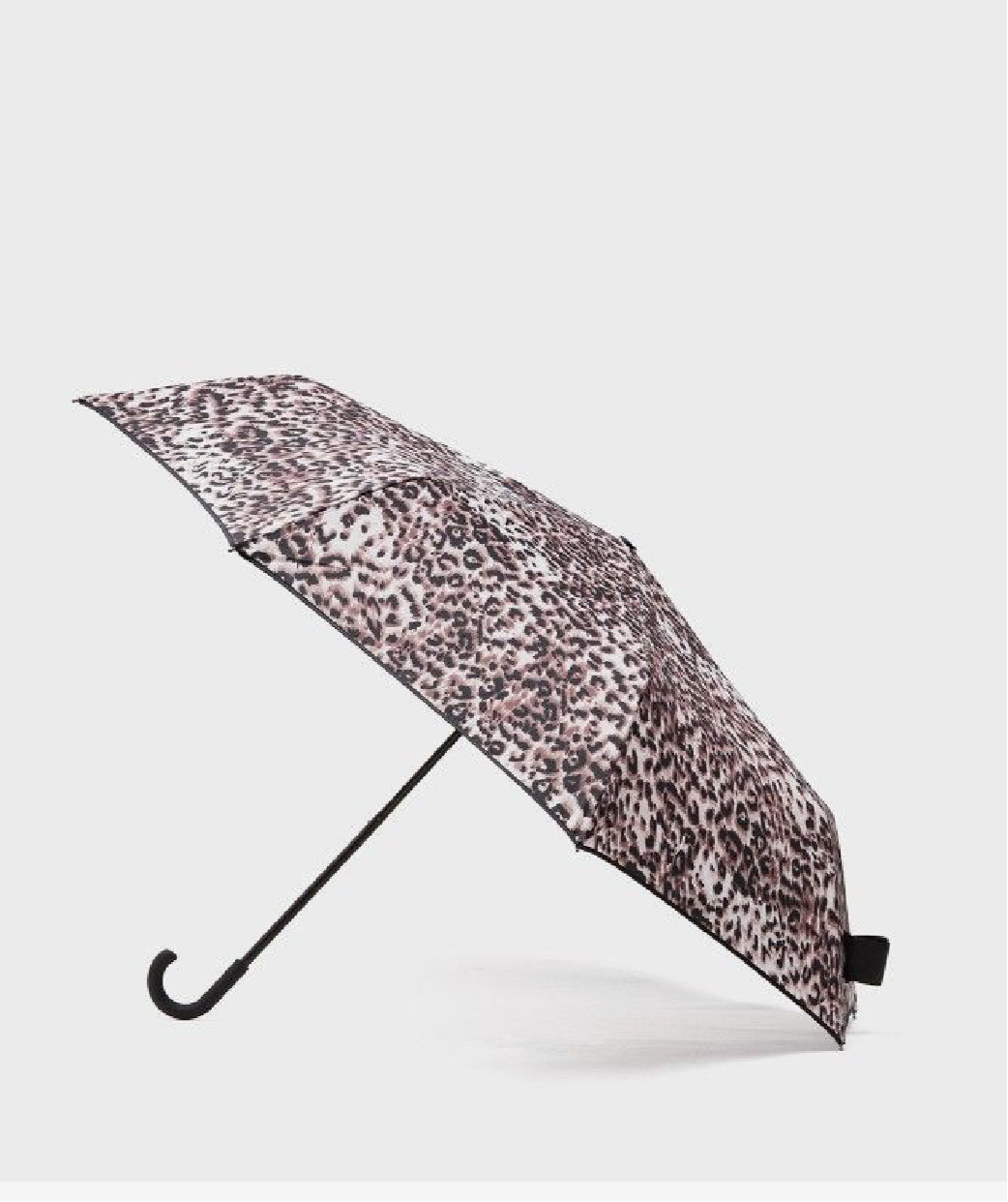 Holly umbrella