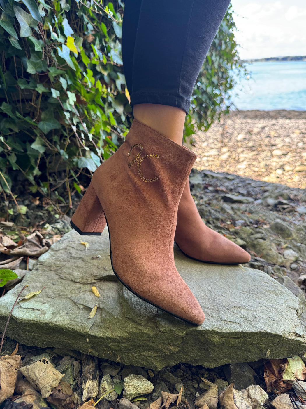 Catterton rustic ankle boots