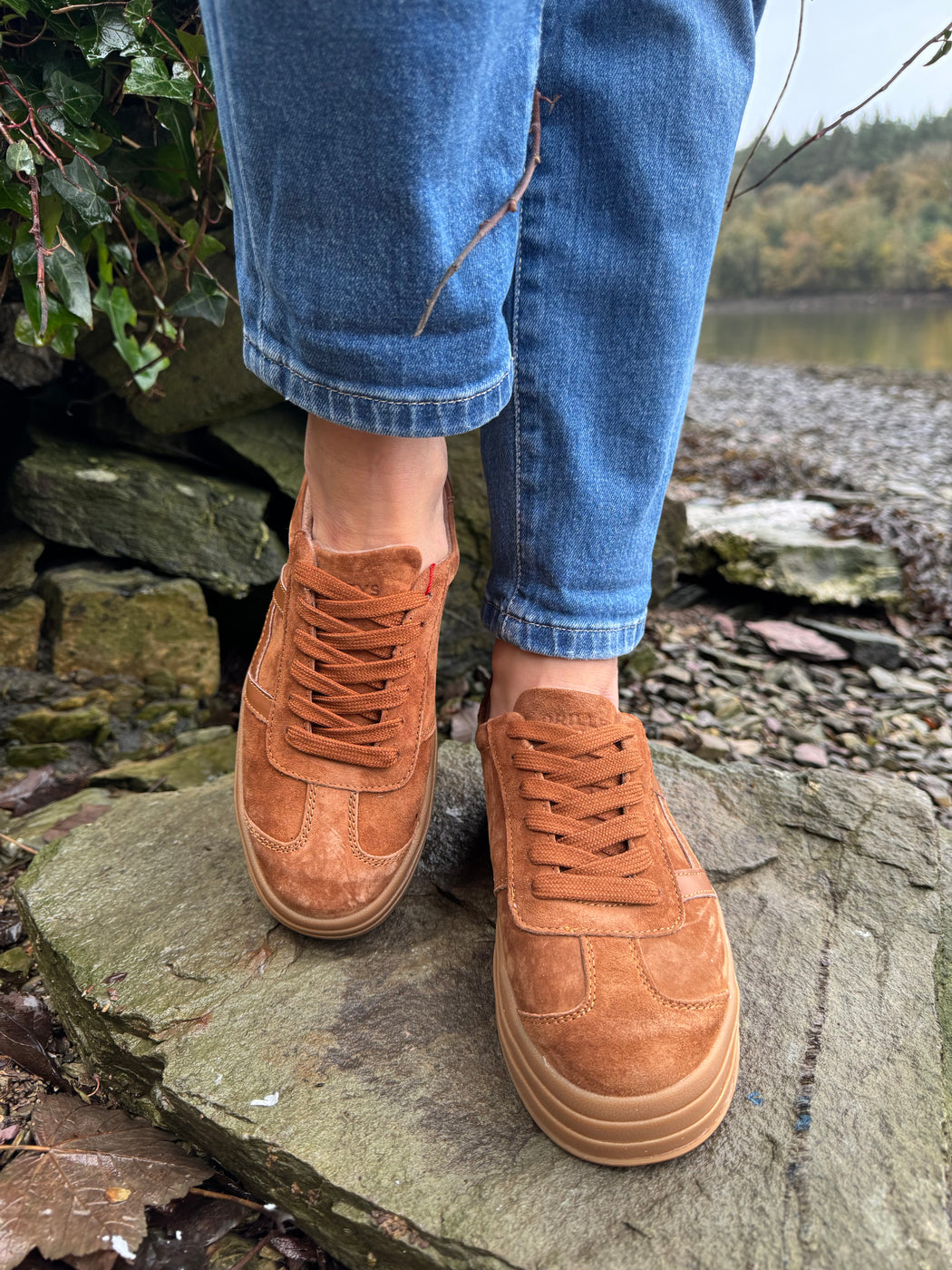 Sixty eight rustic trainer