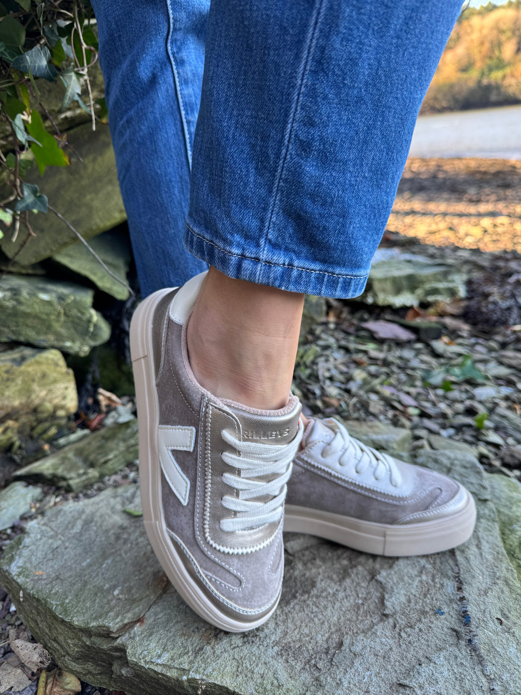 Eighty peregrine trainer