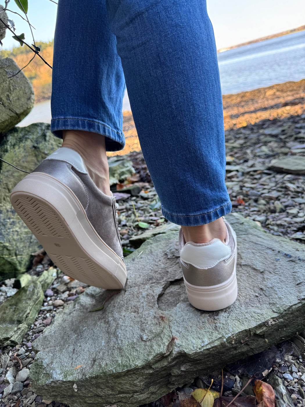 Eighty peregrine trainer