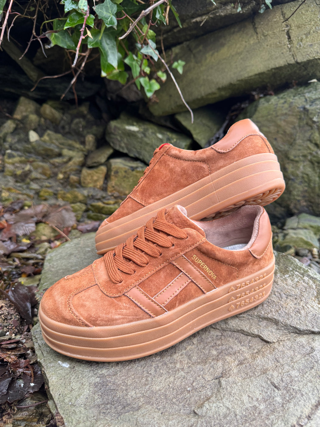 Sixty eight rustic trainer