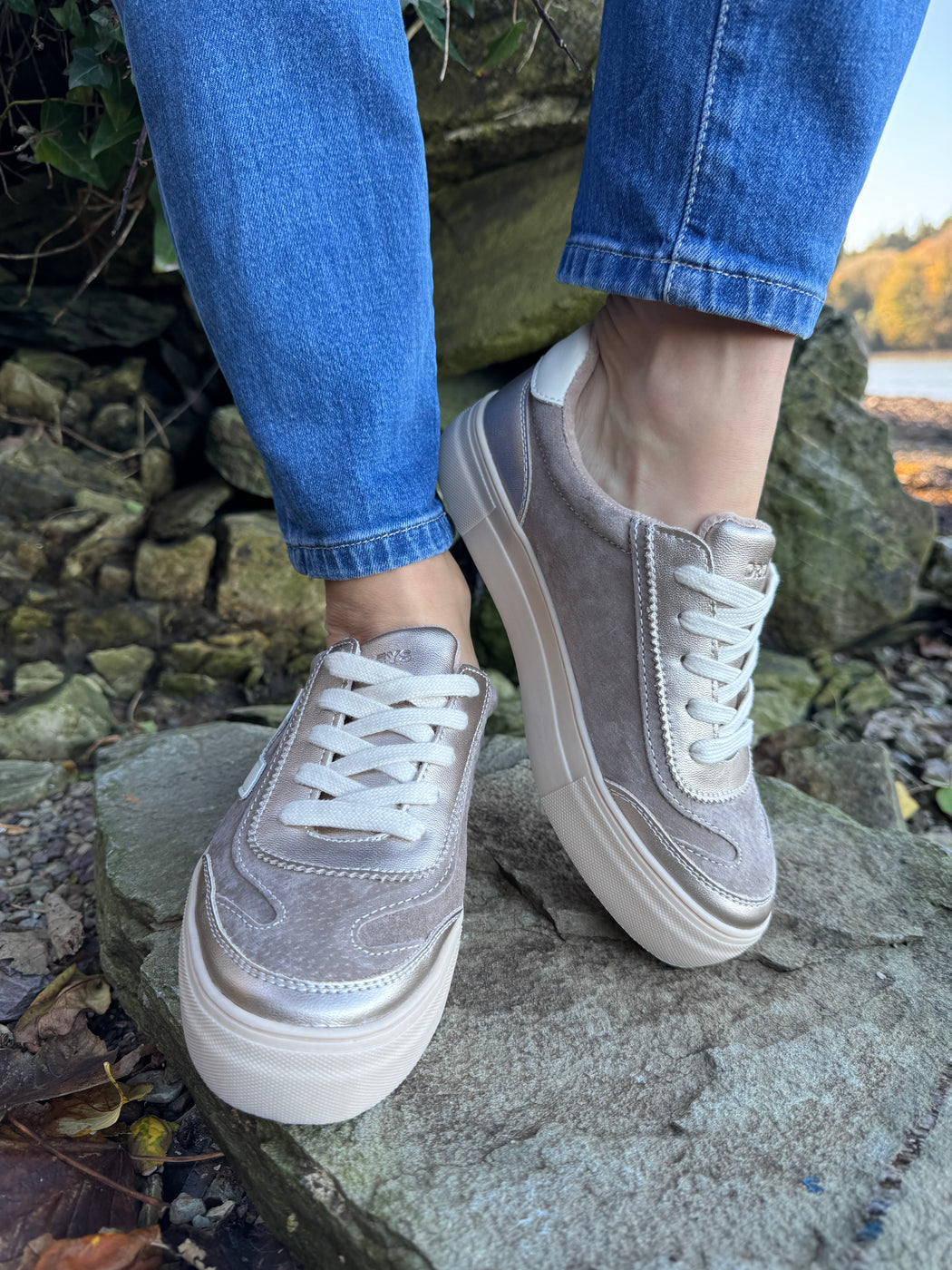 Eighty peregrine trainer