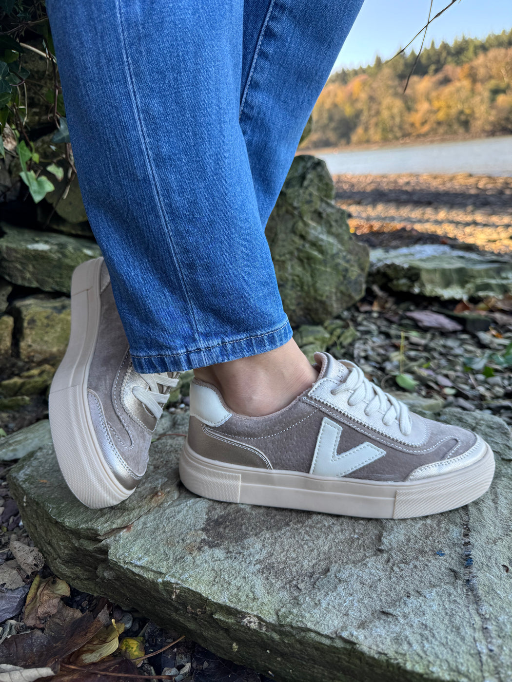 Eighty peregrine trainer