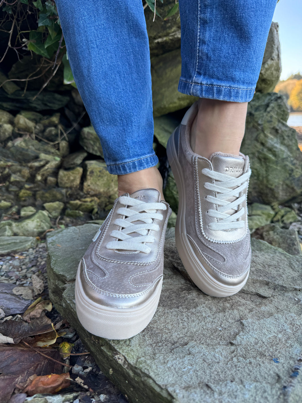 Eighty peregrine trainer