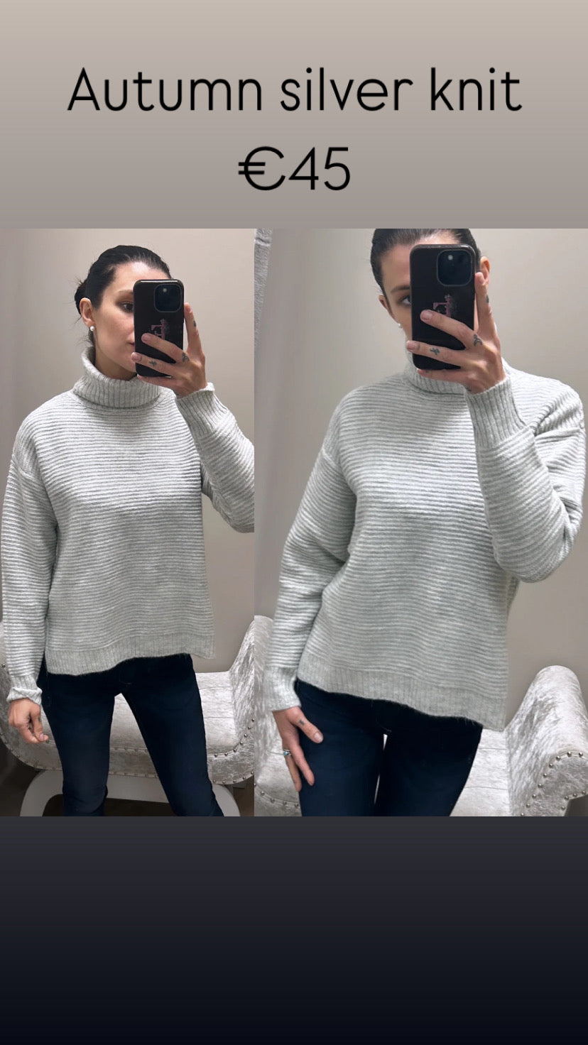 Autumn silver knit